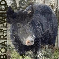 Boar in the Wild | Obraz na stenu