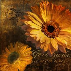 Golden Gerbera IV | Obraz na stenu