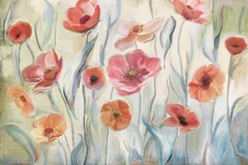 Anemone Poppies | Obraz na stenu