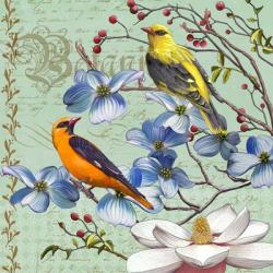 Oriole Bird Botanical | Obraz na stenu
