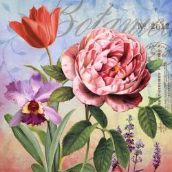 Botanique with Rose | Obraz na stenu