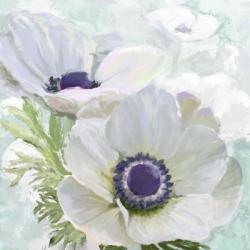Anenome White | Obraz na stenu