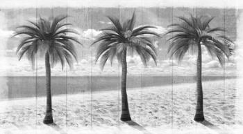 3 Island Palms | Obraz na stenu
