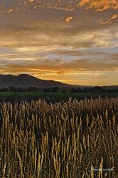 Sunset Over Bear Tooth | Obraz na stenu