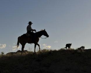 Sunset Ride | Obraz na stenu