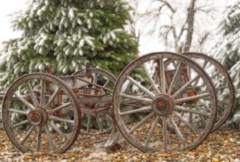 Wagon in Winter | Obraz na stenu