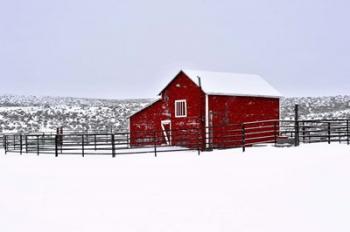 Red Barn In Winter | Obraz na stenu