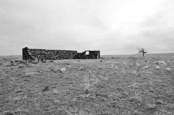 Homestead And Tree | Obraz na stenu