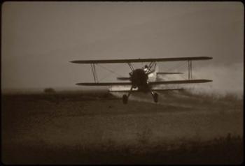 Crop Duster II | Obraz na stenu