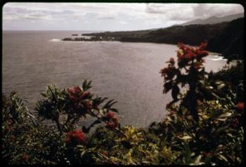 Honomanu Bay | Obraz na stenu