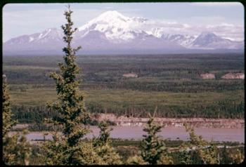 Mt Drum | Obraz na stenu