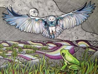 Owl And Frog | Obraz na stenu