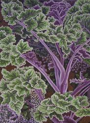 Cabbage Stalks | Obraz na stenu