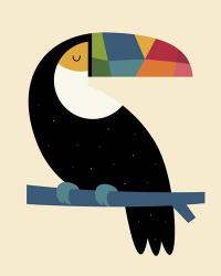 Rainbow Toucan | Obraz na stenu