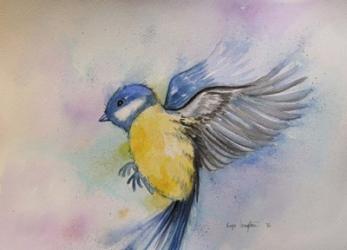 Bluebird | Obraz na stenu
