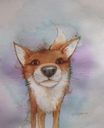 Nosey Fox | Obraz na stenu