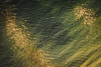 Painted on Water 16 | Obraz na stenu