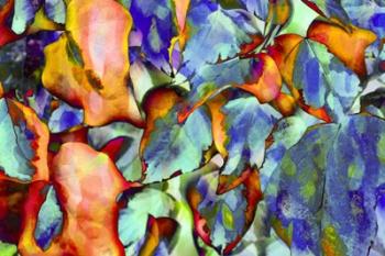 Colorful Foliage 5 | Obraz na stenu
