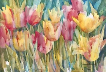Pastel Tulips | Obraz na stenu