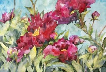 Peony Paradise | Obraz na stenu