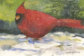 Winter Cardinal | Obraz na stenu