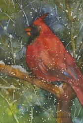 Perched Cardinal | Obraz na stenu