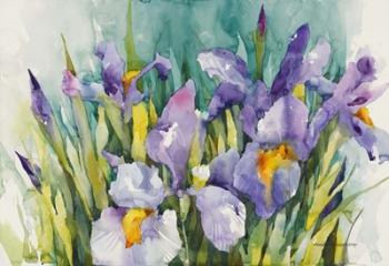 Purple Irises | Obraz na stenu