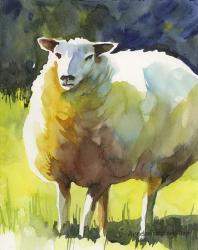 Sheep I | Obraz na stenu
