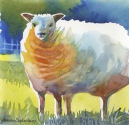 Sheep II | Obraz na stenu
