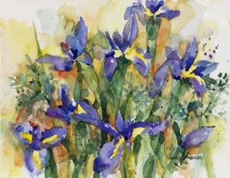 Indelible Irises | Obraz na stenu