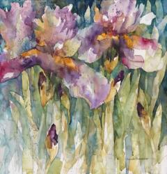 Siberian Iris | Obraz na stenu