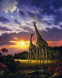 Mother & Calf | Obraz na stenu