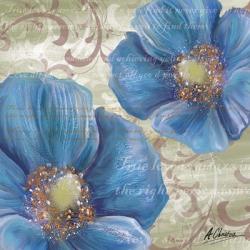 Blue Poppies and Text 2 | Obraz na stenu