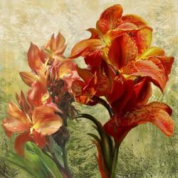 Orange Orchid Passion 1 | Obraz na stenu