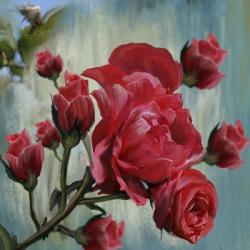 Red Rose Bloom | Obraz na stenu