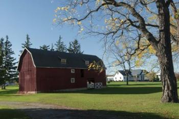 Red Barn In Country | Obraz na stenu