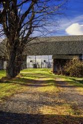 Abandon Barn And Lane | Obraz na stenu