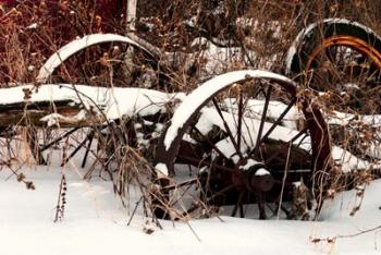 Broken Antique Wagon In Snow | Obraz na stenu