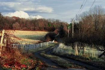 Lane Along Wooden Fence In Autumn | Obraz na stenu