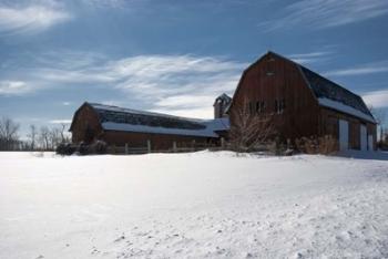 Weathered Barn In Snow Covered Field | Obraz na stenu