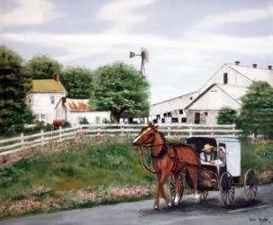 Amish Country 1 | Obraz na stenu