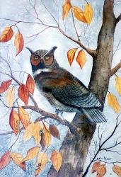 Owl and Autumn Leaves | Obraz na stenu