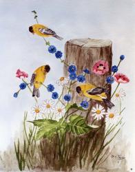 American Goldfinch 3 | Obraz na stenu