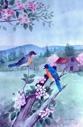 Bluebirds and Apple Blossoms | Obraz na stenu