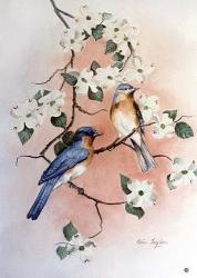 Bluebirds and Dogwood | Obraz na stenu
