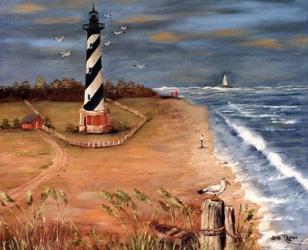 Cape Hatteras and the Seagull | Obraz na stenu