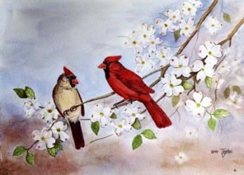 Cardinals and Dogwood | Obraz na stenu
