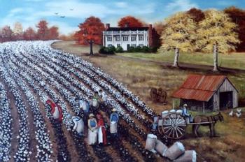 The Lincoln Cotton Field | Obraz na stenu