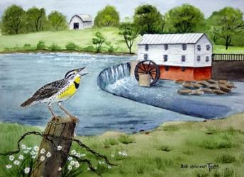 Meadowlark and Murray's Mill | Obraz na stenu