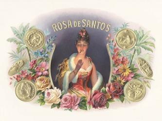 Rosa De Santos | Obraz na stenu